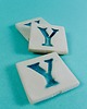 magnesy Ceramiczny magnes, niebieska literka Y 1