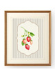 grafiki i ilustracje 3 PLAKATY truskawki galeria botaniczne owoce 7