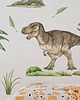 naklejki ścienne do pokoju dziecka Dinozaury naklejki ścienne - Tyranozaur i Pteranodon A210 3