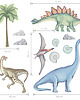 naklejki ścienne do pokoju dziecka DINOZAURY II - naklejka na ścianę 6
