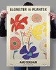 plakaty Plakat botaniczny "Amsterdam" 1