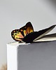 zakładki do książek Zakładka do książki "On Paper" Kolorowy Motyl 2