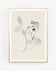 fotografia Beige Flower, kwiat fotografia,  2