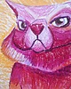 grafiki i ilustracje Pincat - rysunek różowego kota 3