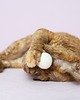 Zabawki dla zwierząt Piłeczki wełniane WOOL WOOL dla kota, beżowe 8