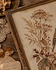 plakaty PLAKAT zięba, vintage ilustracja botaniczna, jesienna dekoracja 4