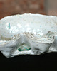 miski i misy ceramika  artystyczna - Oyster 3