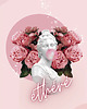 plakaty Plakat Pink Lemonade SUMMER 1