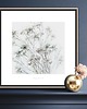 grafiki i ilustracje Gipsówka  kwiaty obraz do domu / Fine Art Pint 1