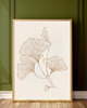 grafiki i ilustracje ZESTAW PLAKATÓW miłorząb japoński  botaniczne ginkgo 6