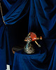 lampy stołowe Bird Rollulus rouloul named Little Loli 4