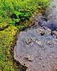 kolczyki z masy plastycznej Oryginalne kolczyki z mchem i lawą z Islandii 4