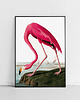 plakaty Plakat Flaming vintage 4
