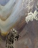obrazy Obraz ręcznie malowany 70x100 cm Kobieta z papugą Gotowy do wysyłki 5