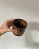 kubki PINCH Mug No. 1 Kubek kamionkowy 230 ml Pantera 1