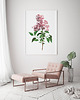 plakaty Plakat Lila vintage 3