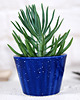 doniczki Mała doniczka  na kaktusy i sukulenty - niebo 1