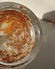 patery i talerze Patera w typie polskiej Mimozy 4