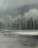 tapety i naklejki ścienne Tapeta "Misty Forest". 1