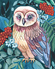 plakaty Owl ilustracja drukowana 1