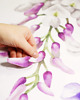 naklejki ścienne do pokoju dziecka GLICYNIA, WISTERIA KWIATY NAKLEJKI na ścianę 1