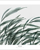 plakaty Plakat Wind Fine Art 1