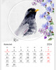 obrazy Kalendarz z ptakami 2024 3