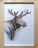 grafiki i ilustracje Obraz ręcznie malowany "Łoś" 1