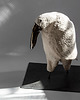 figurki i rzeźby Rzeźba ceramiczna Tuki 4