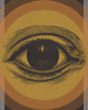plakaty Plakat PEEPING TOM (ILUSTRACJA) 7