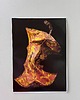 plakaty Plakat z ogryzkiem 2
