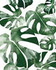 fototapeta Tapeta  młodzieżowa Monstera Leaf 1
