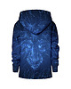 bluzy dla chłopców Bluza Lew Laser 1