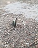 pierścionki - różne Bez Pitagorasa - pierścionek regulowany 2