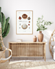 plakaty DWA PLAKATY muszle vintage ilustracje 3