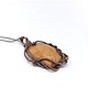 wisiory Fossil  m117 8