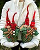 dekoracje świąteczne Kompo Państwo Gnomowie 3