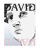 plakaty Plakat David 2