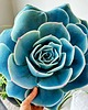 poduszki z grafiką Zestaw Poduszek Sukulenty Turkusowe Echeveria 4