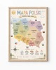 obrazy i plakaty do pokoju dziecięcego Plakat edukacyjny MAPA POLSKI dla chłopca 1