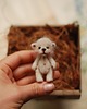 broszki Mini miś- broszka 1