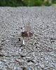 pierścionki - różne Bryłka lodu - pierścionek regulowany 3