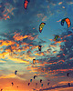 plakaty Plakat - Kite Haven 1