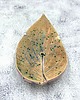 mydelniczki Mydelniczka Leaf III 2