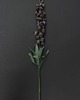 dodatki - różne Dekoracja botaniczna, kwiat z papieru - szachownica 2