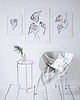 plakaty Plakat Begonia 2 4