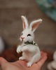 figurki i rzeźby Biały Króliczek 1