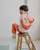 t-shirty dla chłopców Bluza rozpinana Funky Teddy 5