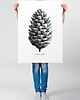 grafiki i ilustracje Szyszka 2