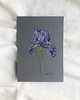 grafiki i ilustracje Iris II / ilustracja A5 oryginał 1